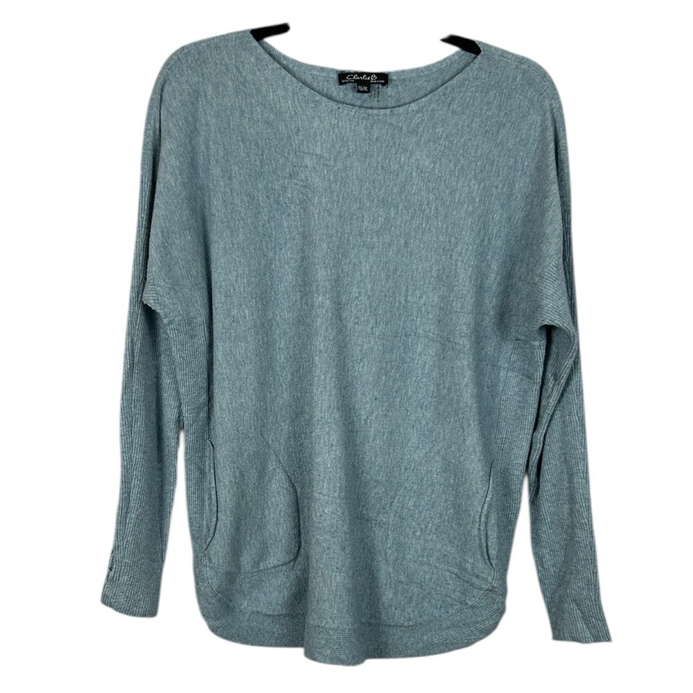 Charlie B. Coastal Casual Long Sleeve Round Neck Sweater XL Blue Rayon Blend